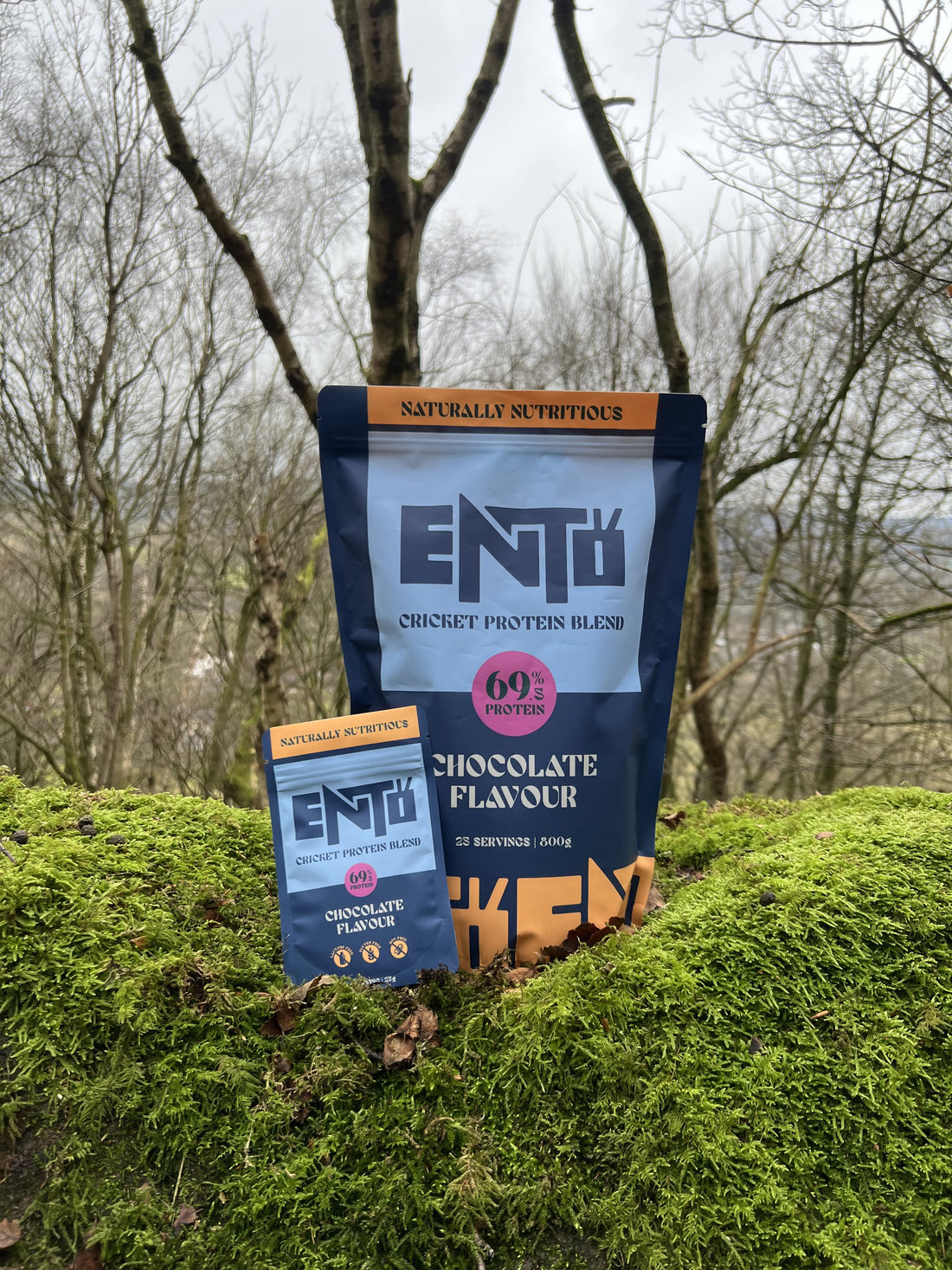 Cricket Blend Protein vs The Alternatives