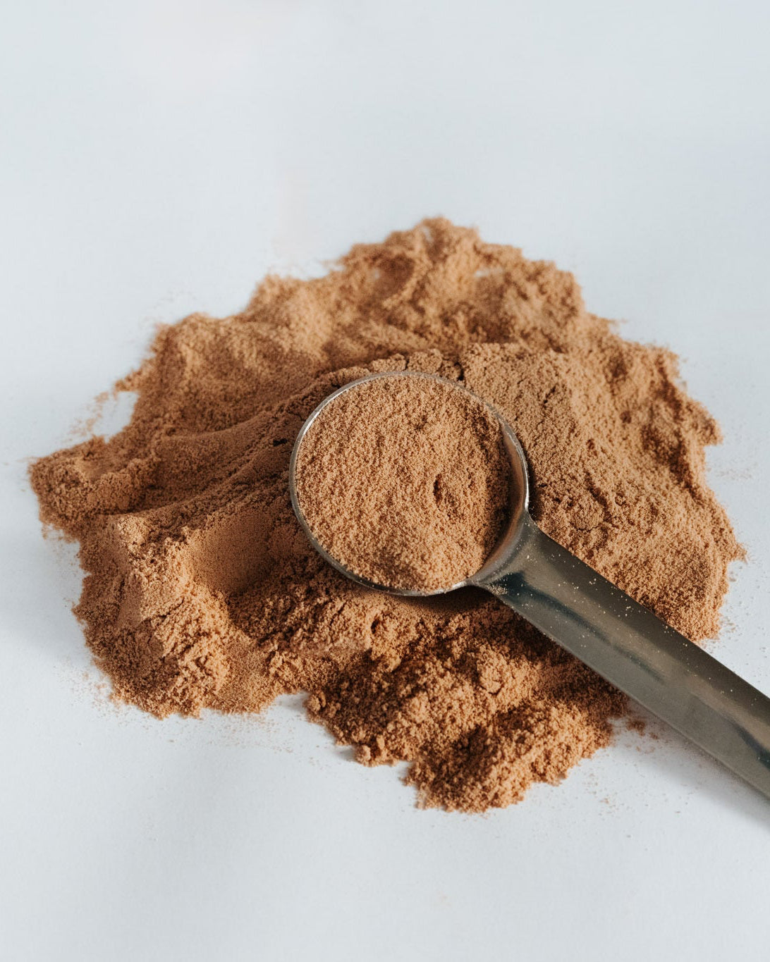Cricket protein powder with a measuring spoon on a light gray background