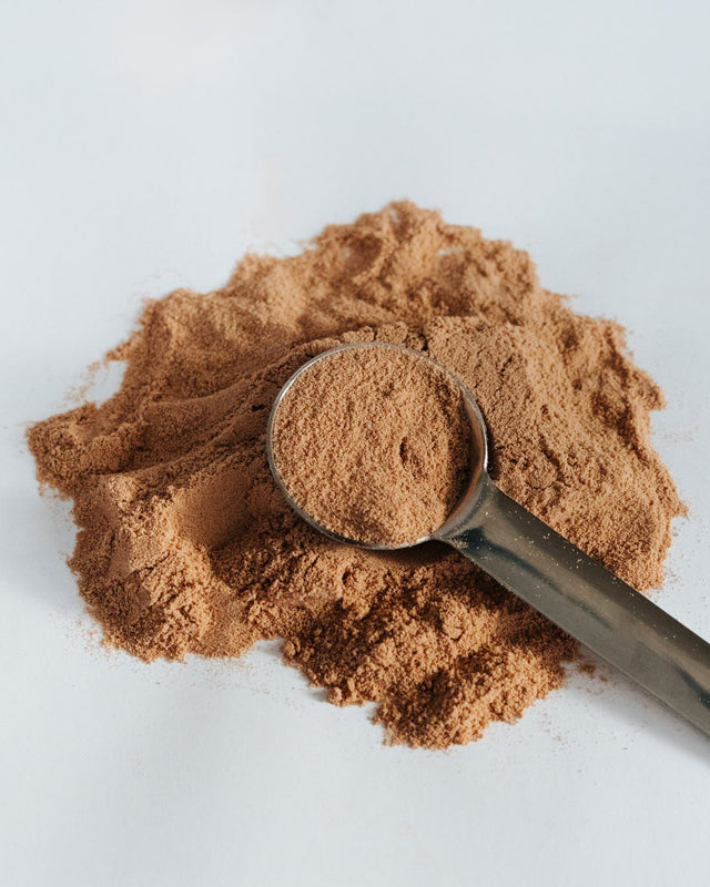 Cricket protein powder with a measuring spoon on a light gray background