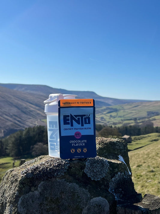 Chocolate Cricket Blend Protein Powder - Sachet